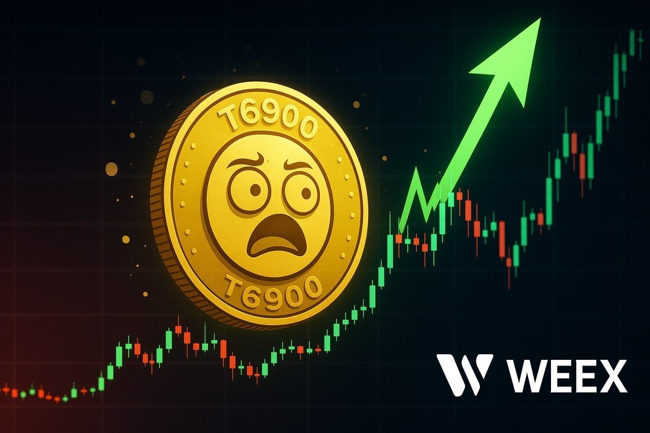 ریسک‌ها و فرصت‌ها در میم‌کوین‌های ویروسی: تحلیل جامع TOKEN6900 (T6900)