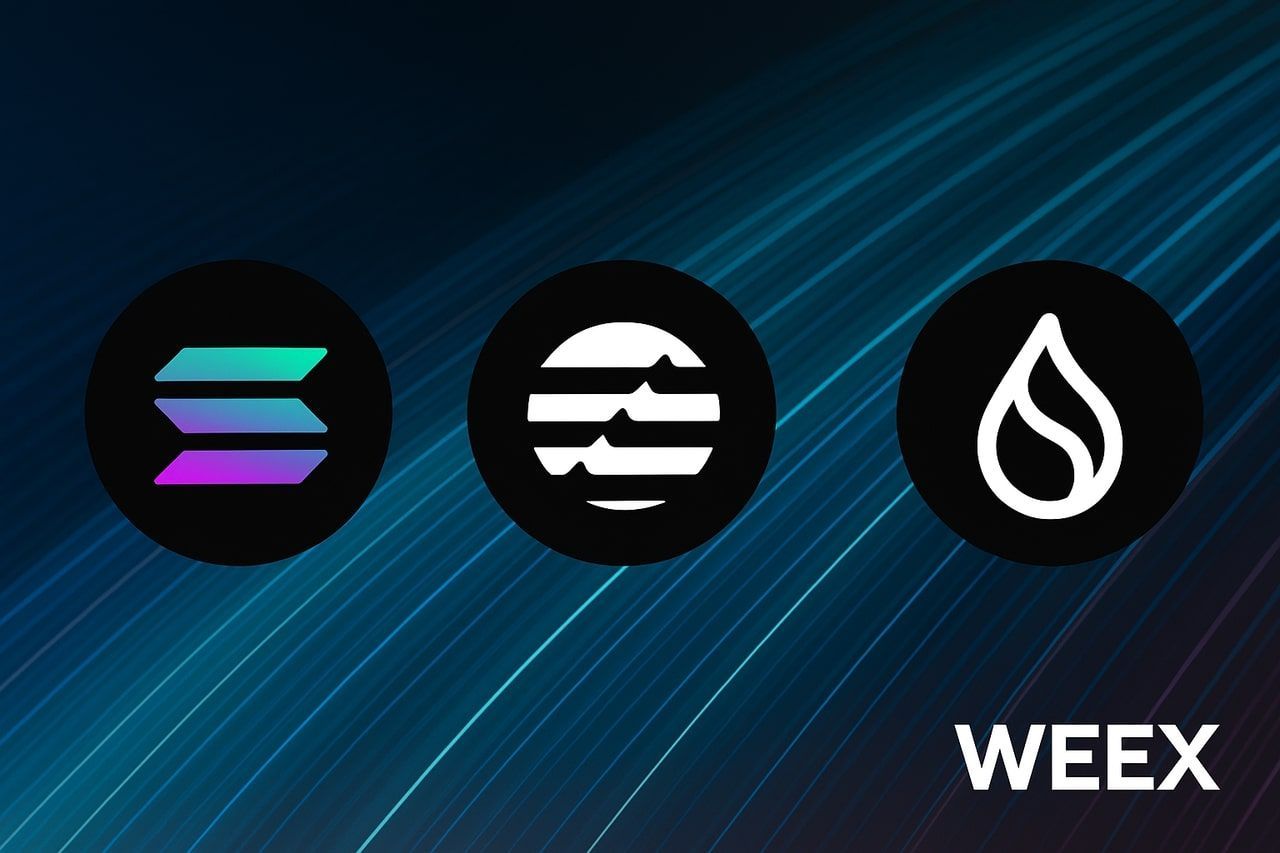 Solana در برابر Aptos/Sui: کدام لایه ۱ در ۲۰۲۵ دست بالا را دارد؟