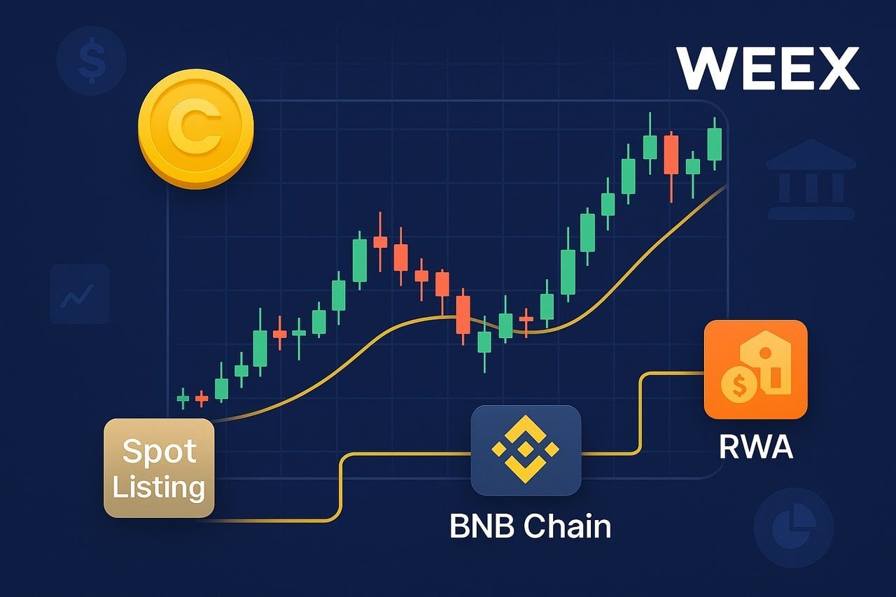 COINSWAP در WEEX: پل استراتژیک میان DeFi و RWA برای معامله‌گران اسپات