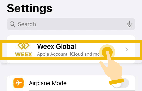 Guide de téléchargement WEEX pour iPhone2.png