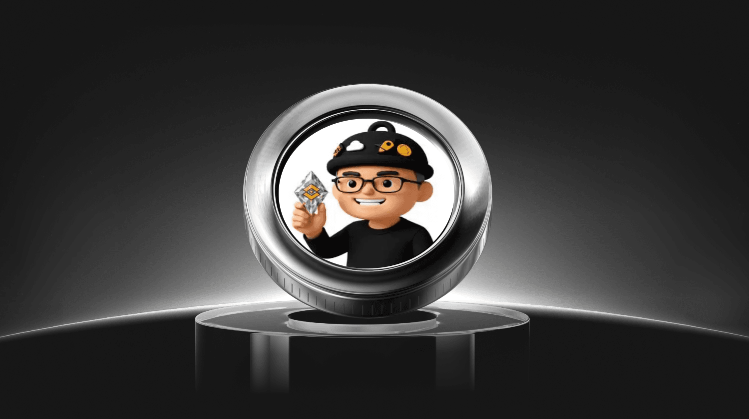 What is BNBHolder (BNBHOLDER) Coin?