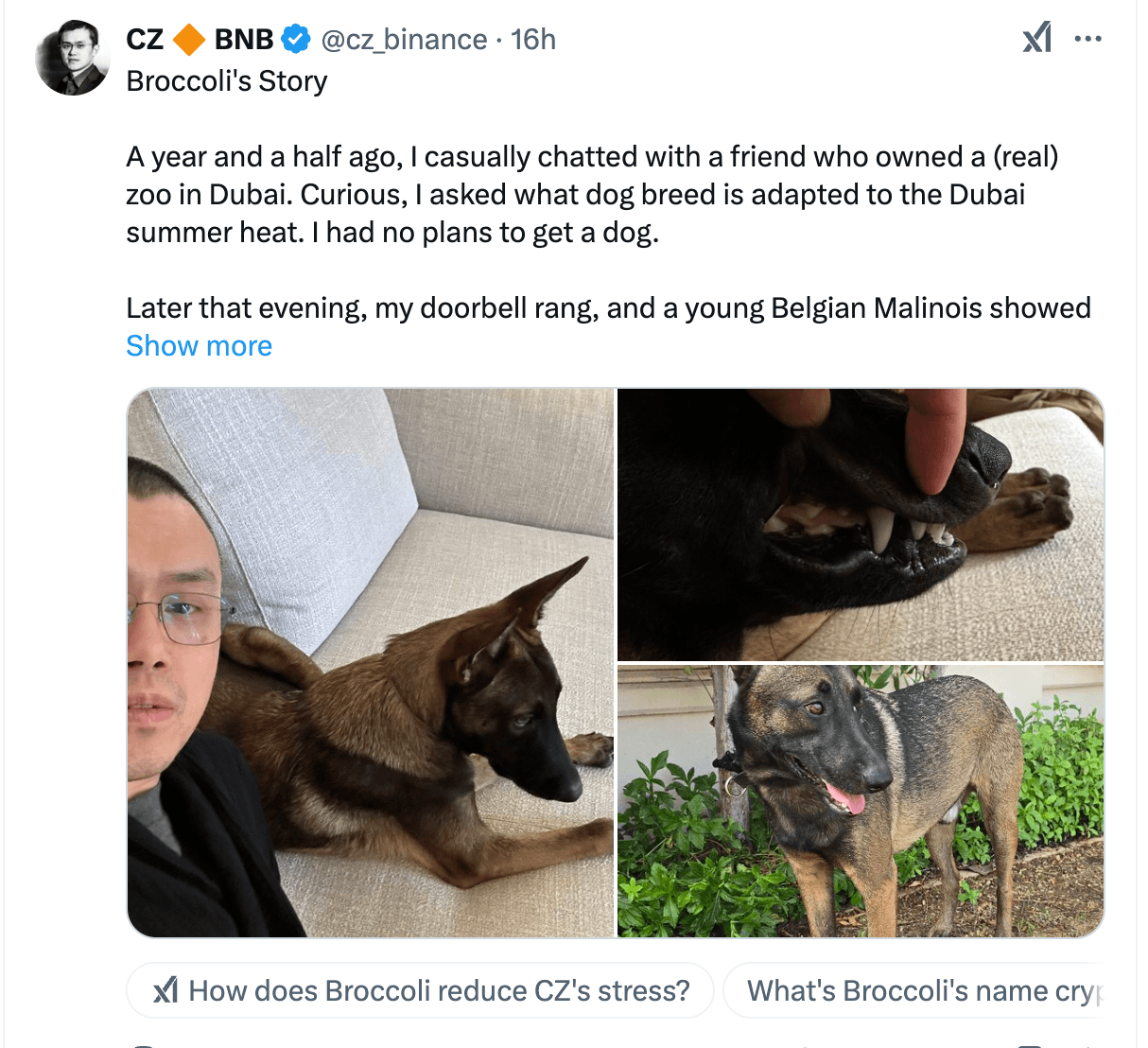 CZ Dog Meme Coin- A Tribute to Binance Founder Changpeng Zhao (CZ)