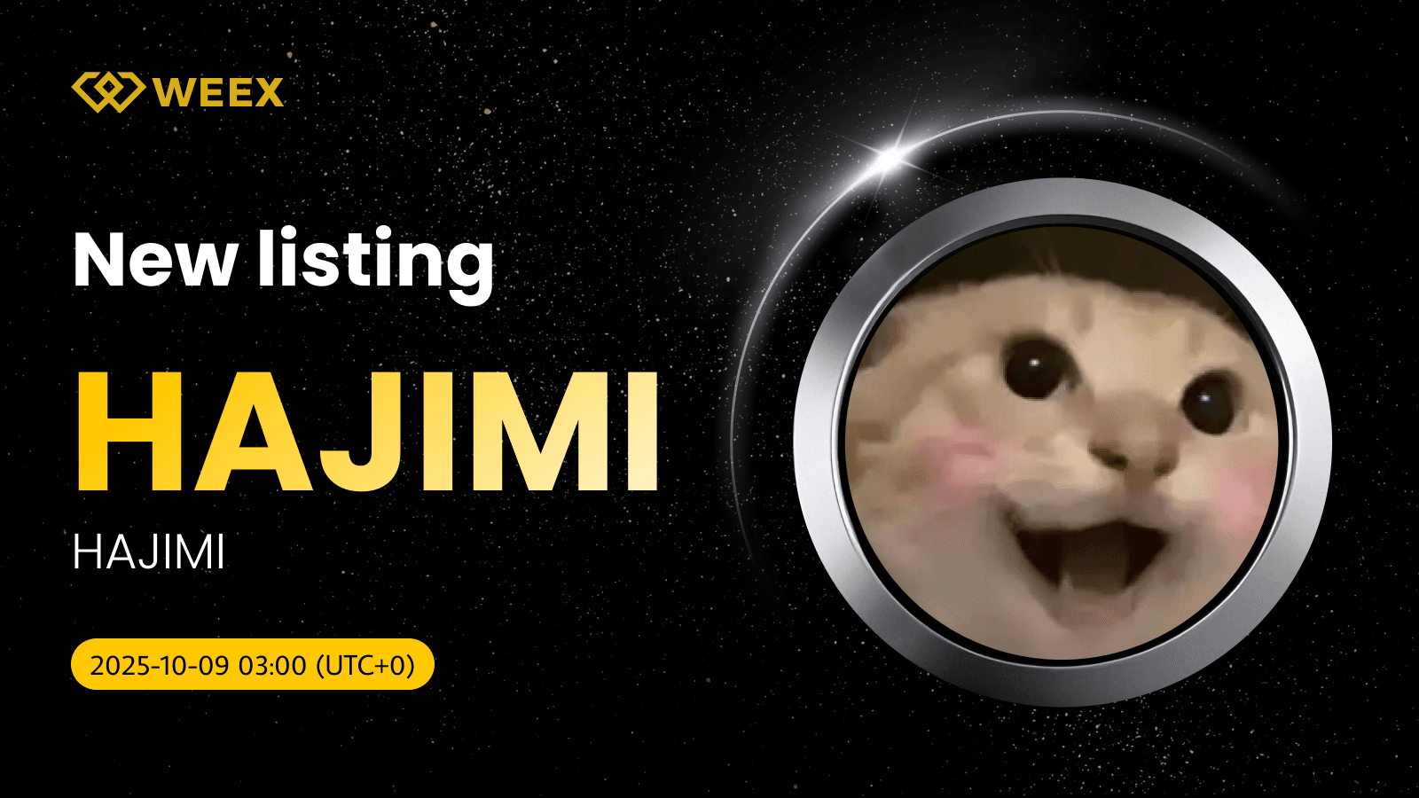 HAJIMI USDT Spot Trading on WEEX: Trade the Viral Cat Meme