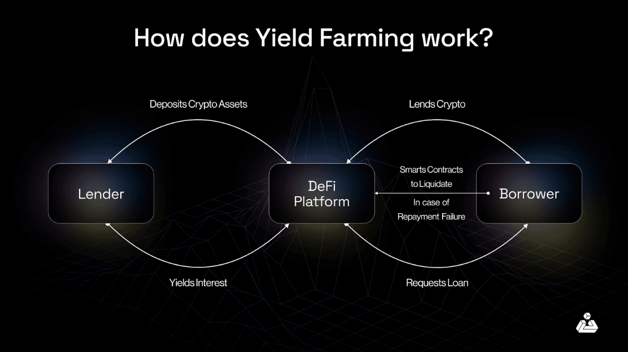 What is Leveraged Yield Farming? Risks and Rewards & Top Strategies