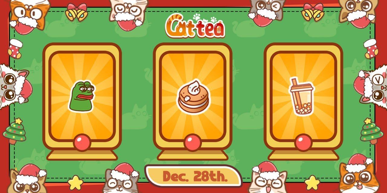 How to Use the Cattea Daily Combo.jpg