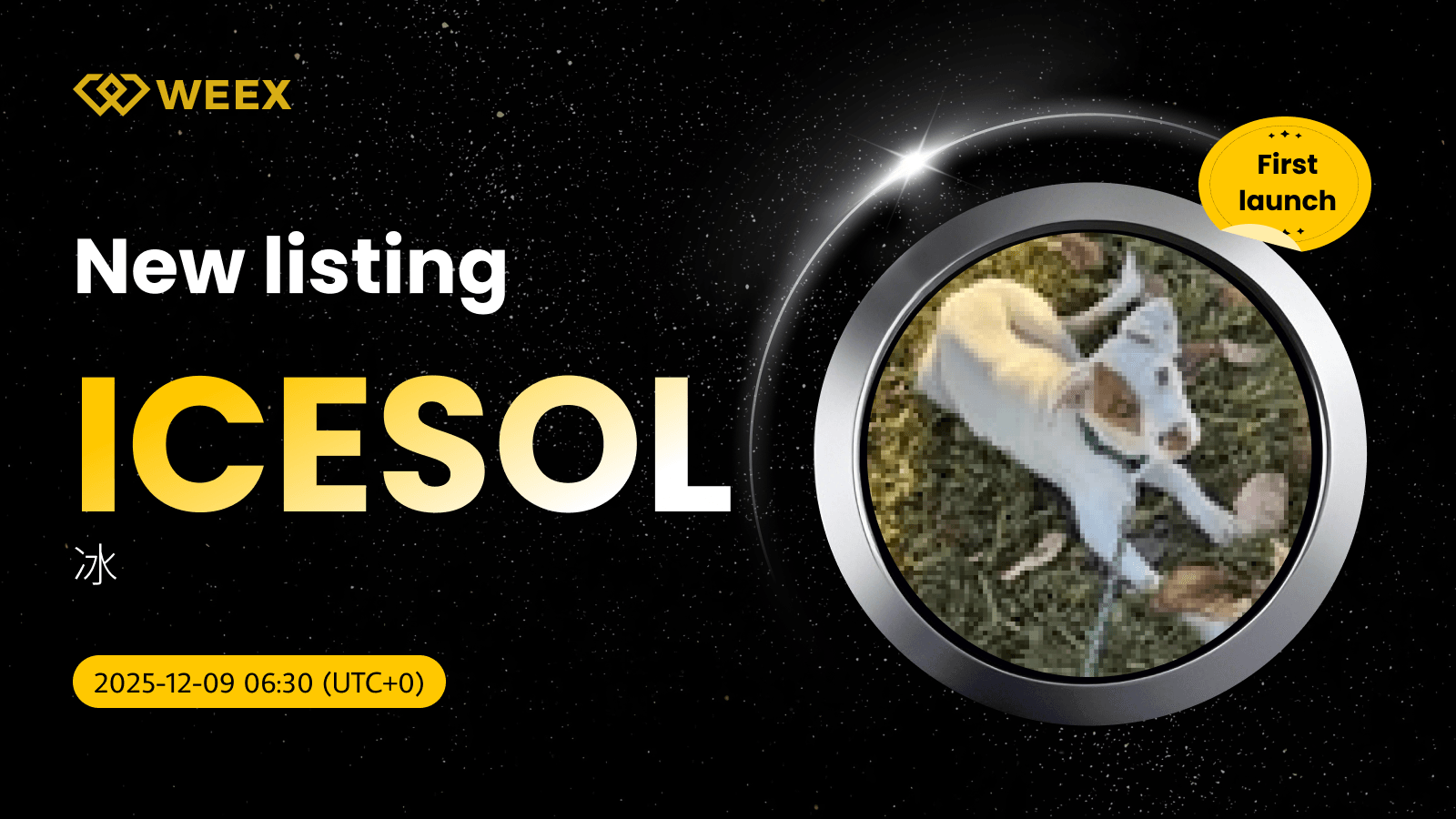 ICESOL USDT Listed on WEEX Spot