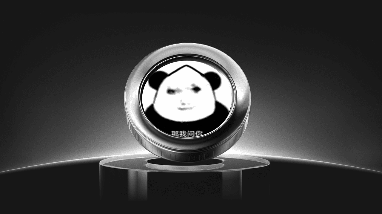 What is Dragon Long (LongLong) Coin?