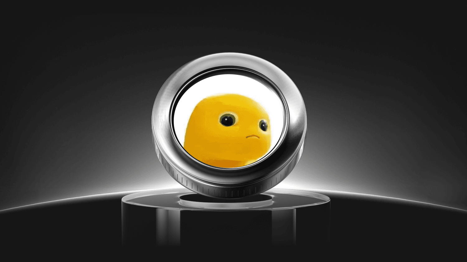 What is Nailong (NAILONG) Coin?