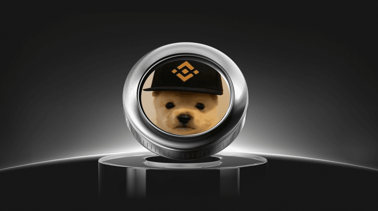 What is PUP (PUP) Coin?