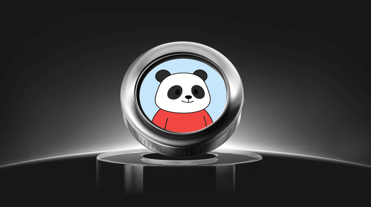 ما هي عملة Pandu Pandas (PANDU)؟ دليل للمستثمرين