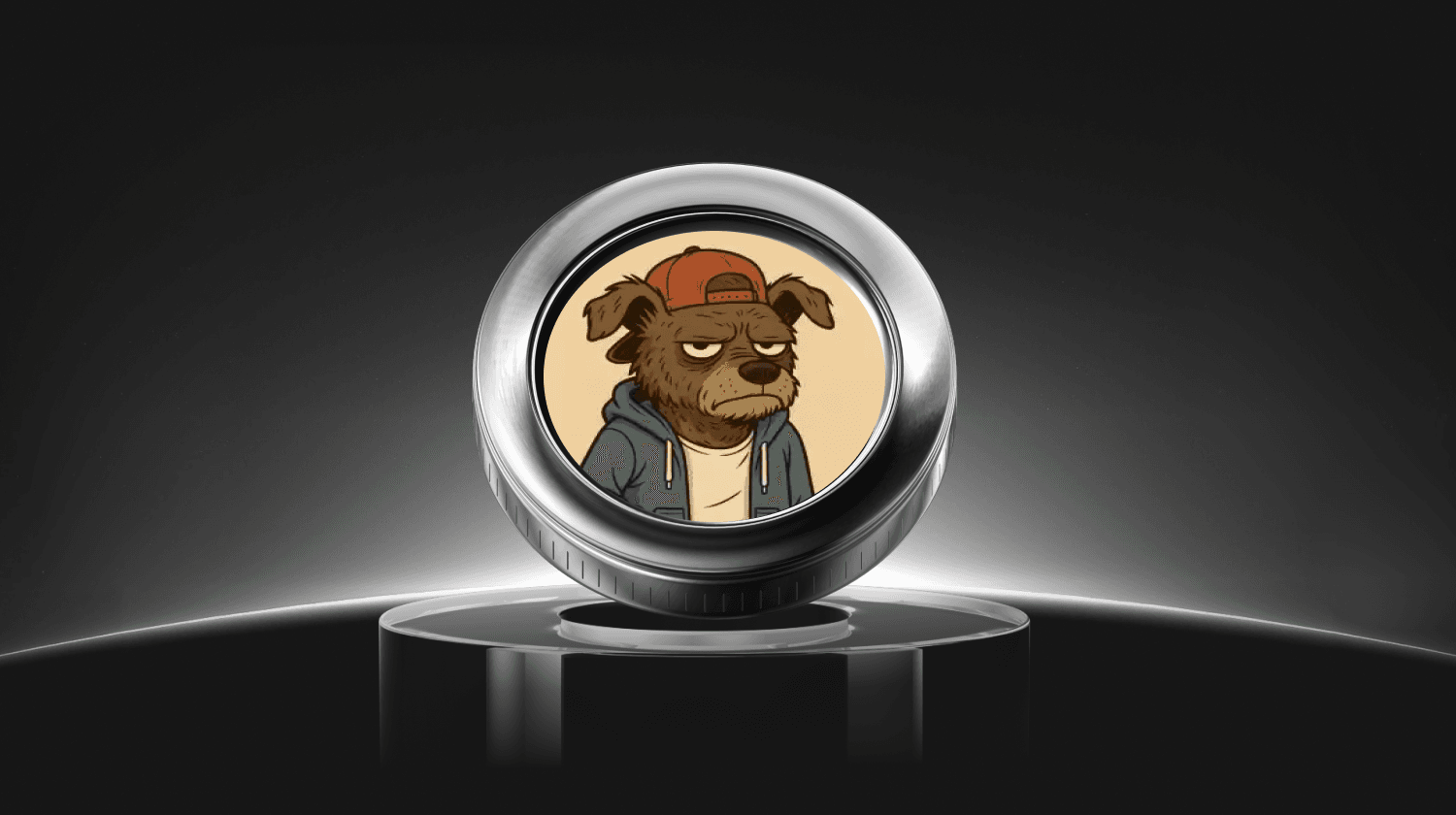 什么是流浪狗(流浪狗)硬币，它是如何工作的？