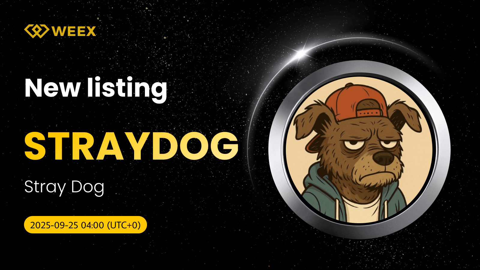 STRAYDOG USDT Spot Trading is Listed on WEEX Exchange