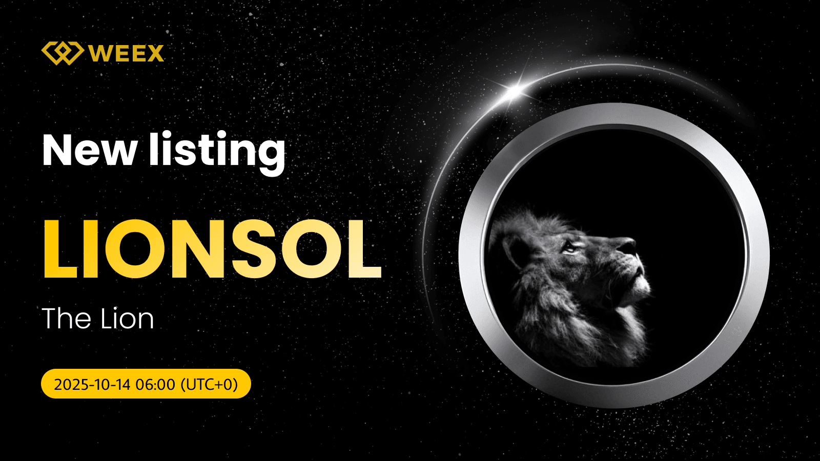 LIONSOL USDT Live: WEEX Lists The Lion Coin