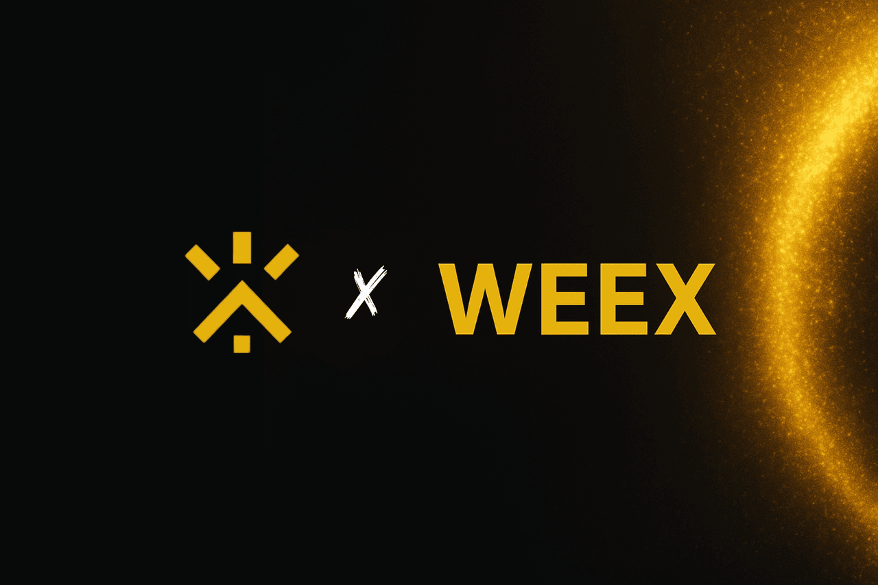 Krypto-Ausbildung kostenlos sichern: So erhalten Sie den 6.200€-Kurs geschenkt | WEEX