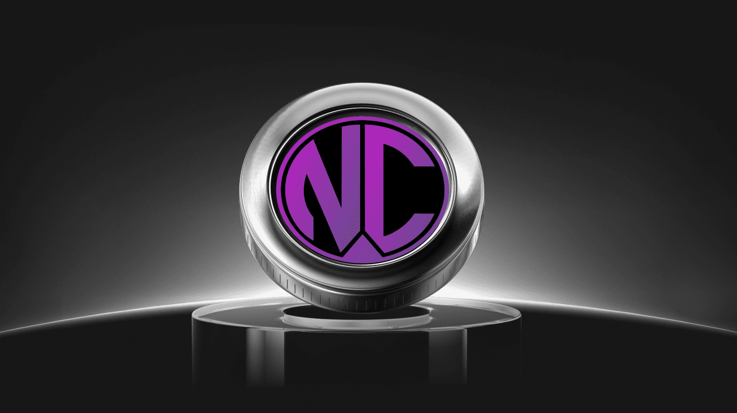 NPC WEB3 GAMEFI (NPCR) چیست؟ راهنمای Arbitrum GameFi Token جدید