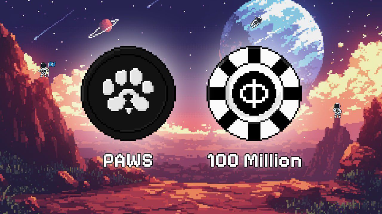 Why the PAWS Community Stands Out