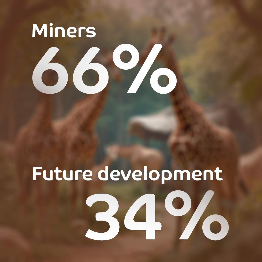 Zoo Tokenomics- Supply, Distribution, and Its Impact on Price.jpg
