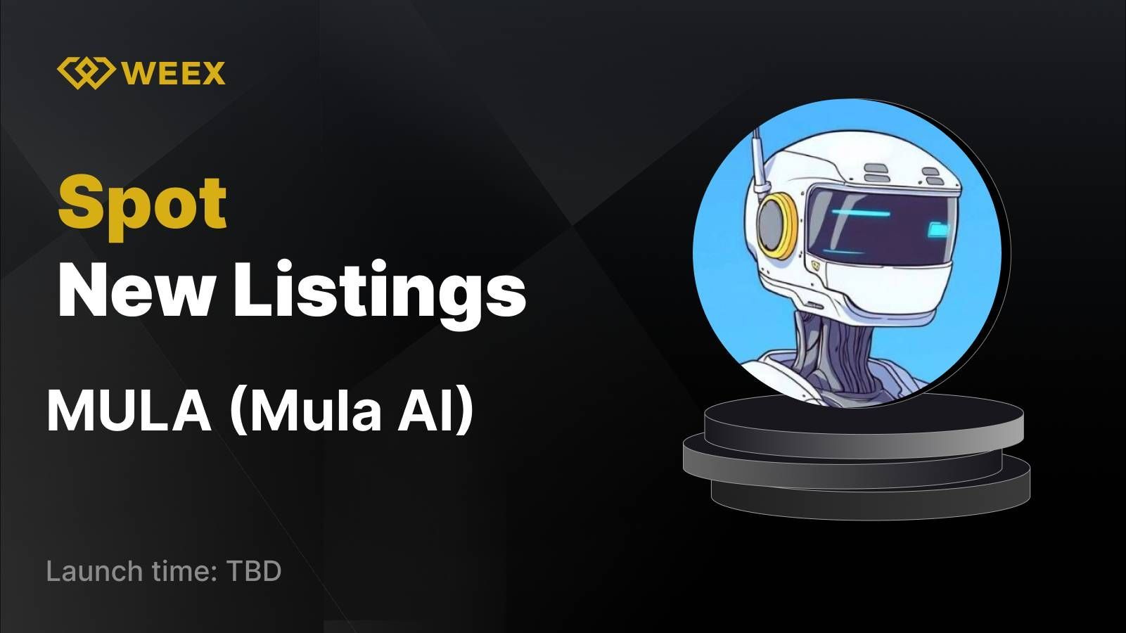 WEEX_EN_1600 × 975.png