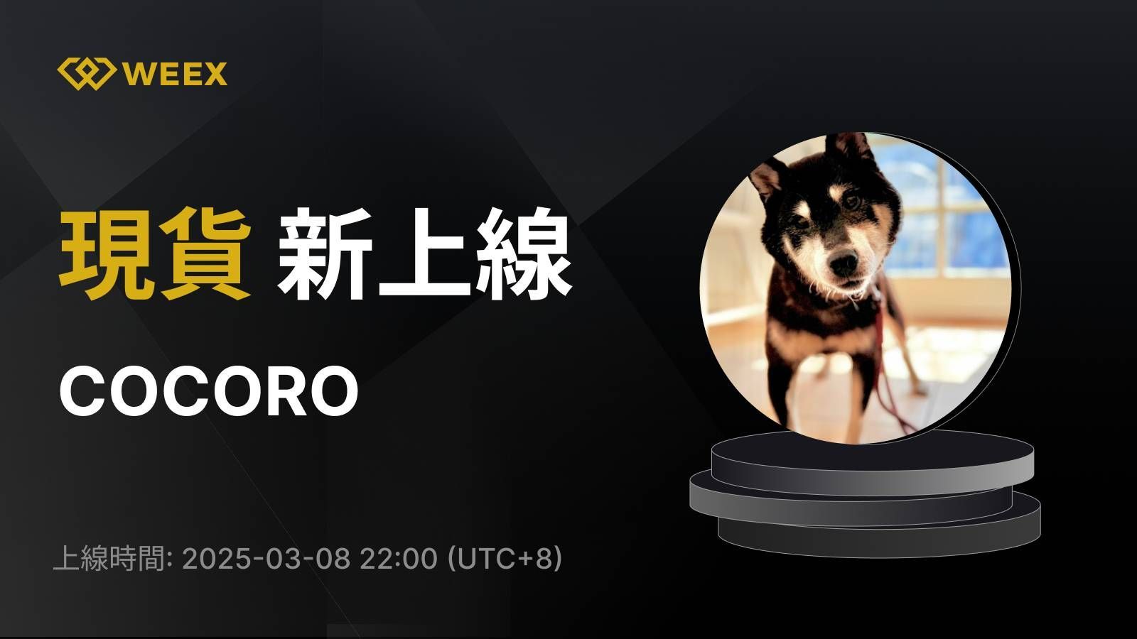 WEEX_TW_1600 × 1133.png