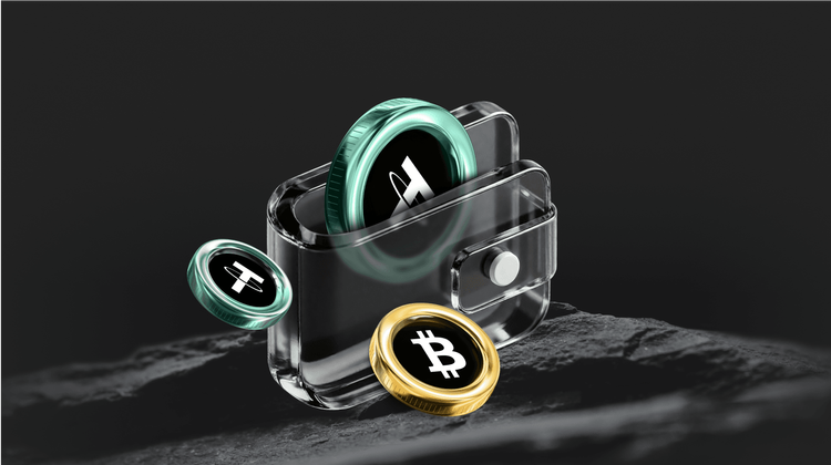 ¿Qué es Niche Baby (BABYSOL) Coin?