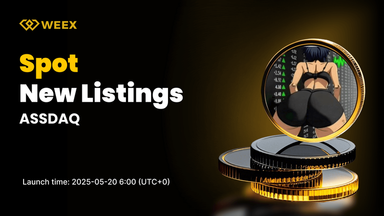 ASSDAQ USDT Spot Trading Pair to Be Listed on WEEX