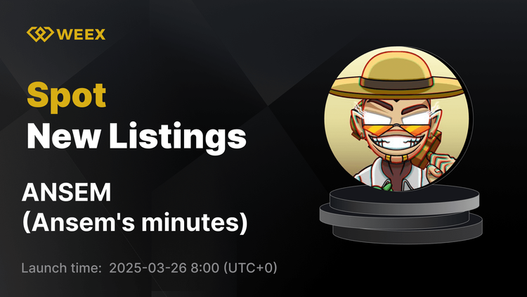 Ansem's minutes (ANSEM) Now Available on WEEX with ANSEM USDT Trading