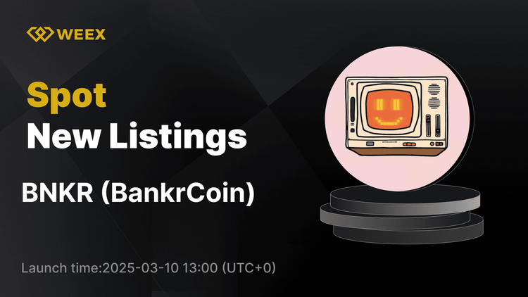 Bankroll Network (BNKR) BNKR USDT Ticareti ile WEEX Spot'a Yerleşti Şimdi Açık