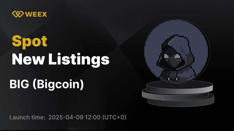 Bigcoin (BIG) Now Available on WEEX Spot Market with BIG USDT Trading Pair Live