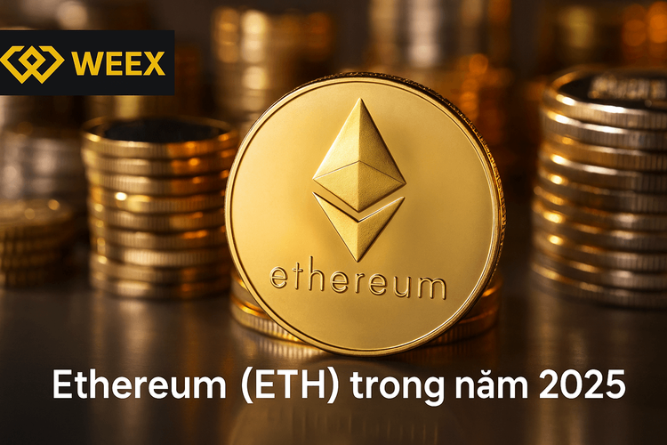 Ethereum (ETH) trong năm 2025: Lý do WEEXer Việt Nam không nên bỏ qua