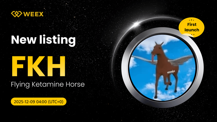 FKH USDT Live on WEEX: 交易飞行氯胺酮马币