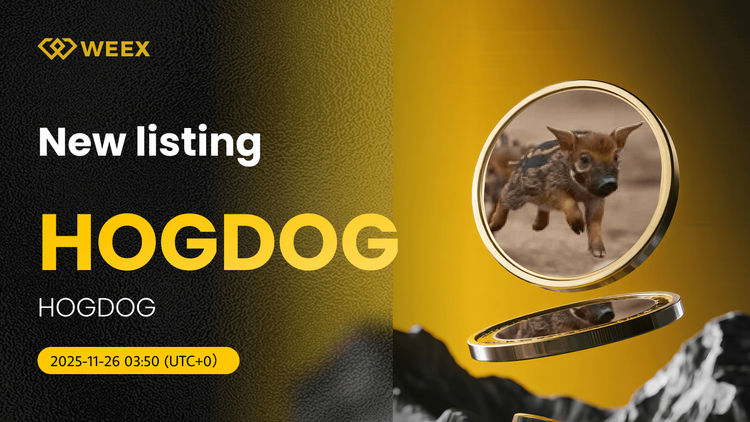 O HOGDOG USDT Spot Trading Pair é listado na WEEX