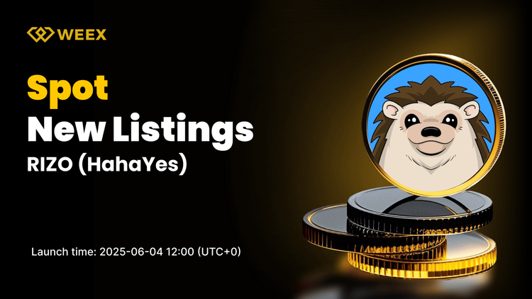 HahaYes (RIZO) Debuts on WEEX — RIZO USDT Spot Trading Goes Live June 4