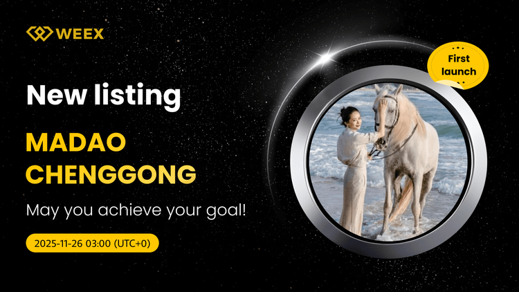 MADAOCHENGGONG USDT Spot Trading Pair Listed on WEEX Exchange