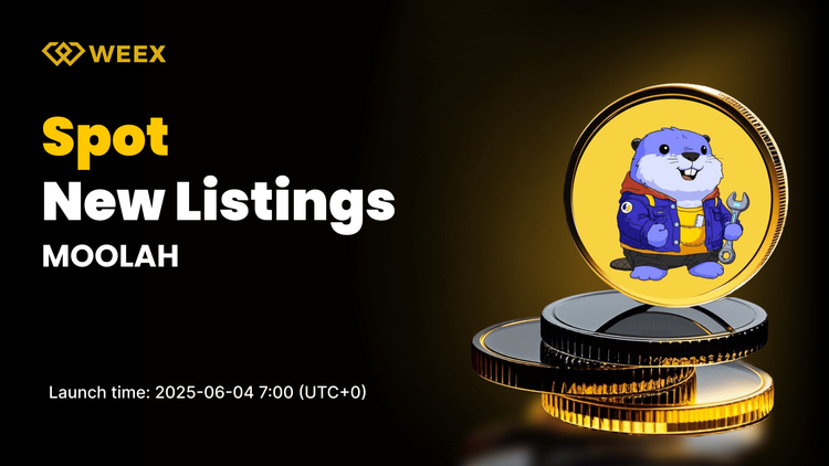 MOOLAH to Launch on WEEX Spot — MOOLAH USDT Trading Kicks Off June 4