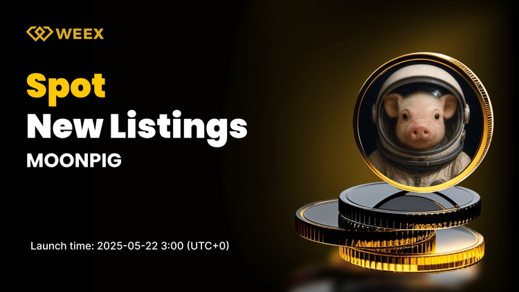 MOONPIG USDT Now Live on WEEX Spot