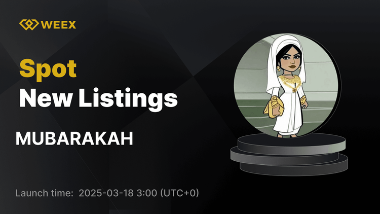 MUBARAKAH USDT Pair Trading Now Available on WEEX