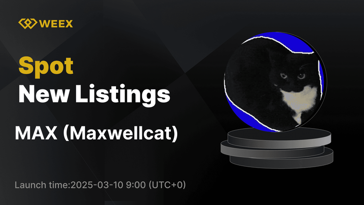 Maxwellcat (MAX) WEEX Spot'ta Listelenecek - MAX USDT Ticareti Yakında Geliyor!