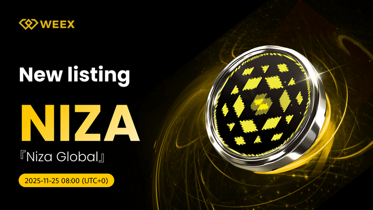 NIZA USDT Trading Live: Niza Global (NIZA) Coin on WEEX