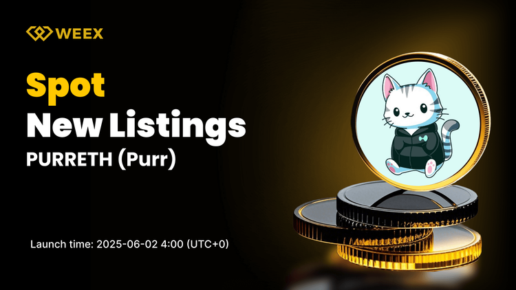 PURR USDT Spot Trading Listed on WEEX