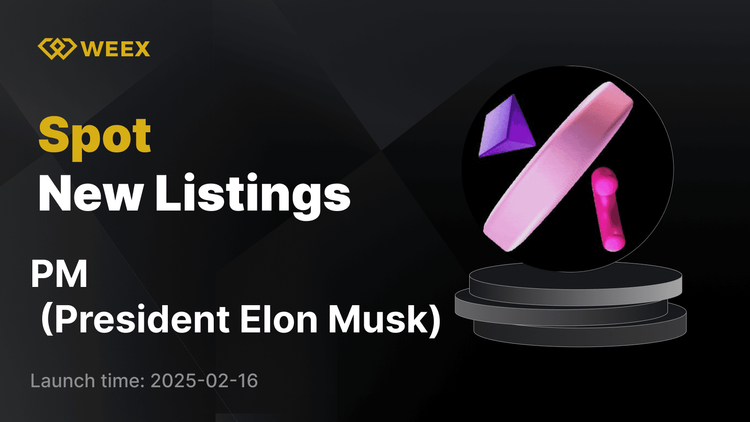 Başkan Elon Musk (PM) Artık WEEX'te PM USDT ile Alım Satıma Hazır