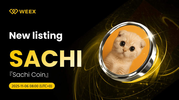 SACHI USDT Spot İşlemleri WEEX Borsasında Başlıyor