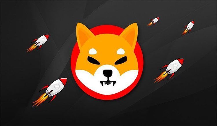 Shiba Inu Coin Price Prediction 2025–2030: Can SHIB Overcome Market Challenges?