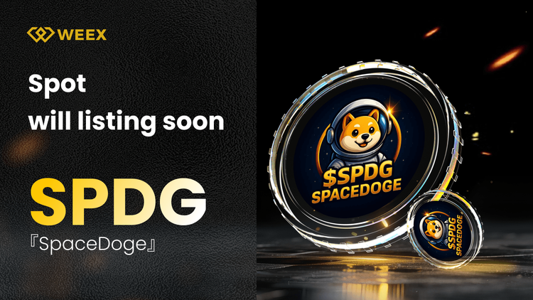 SpaceDoge (SPDG) Meme Coin, SPDG-USDT Çiftiyle WEEX Spot'ta Piyasaya Sürülecek