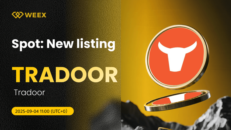TRADOOR USDT Spot Trading Pair Now Listed on WEEX Exchange