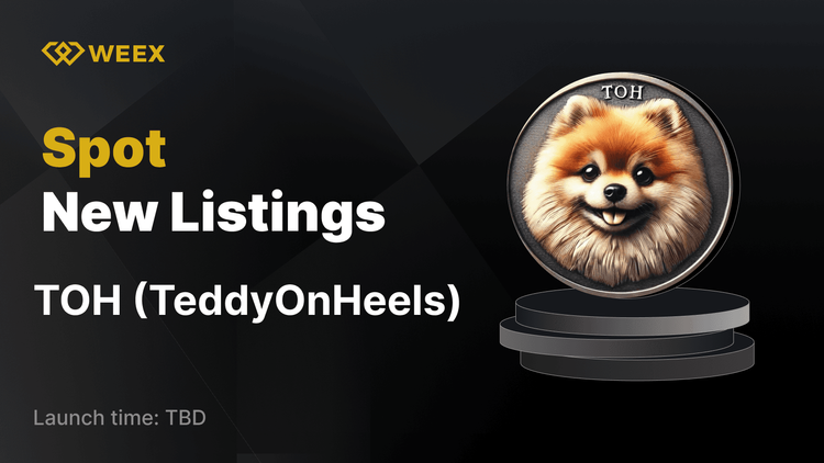 TeddyOnHeels (TOH) Artık WEEX'te Listelendi ve TOH USDT Çift İşlemleri Başladı