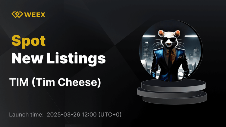 Tim Cheese (TIM) Makes Debut on WEEX with TIM USDT Trading