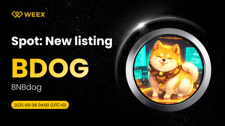 Trade BDOG USDT on WEEX: BNBdog (BDOG) Coin Now Listed