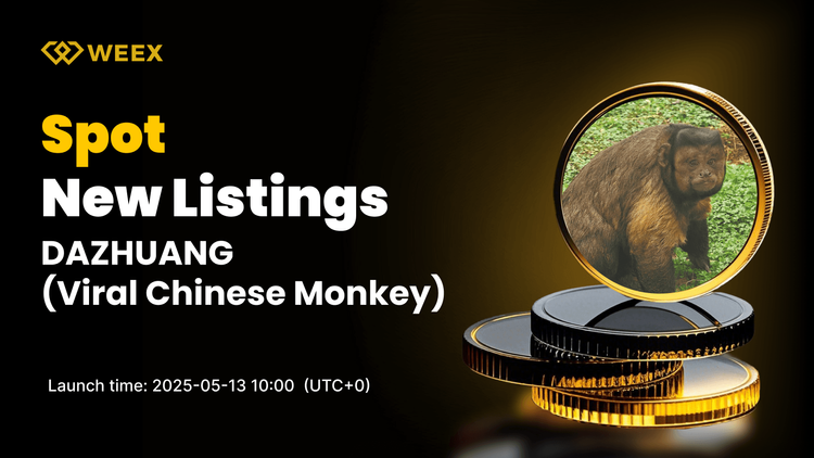 Viral Chinese Monkey (DAZHUANG) Listed on WEEX Spot
