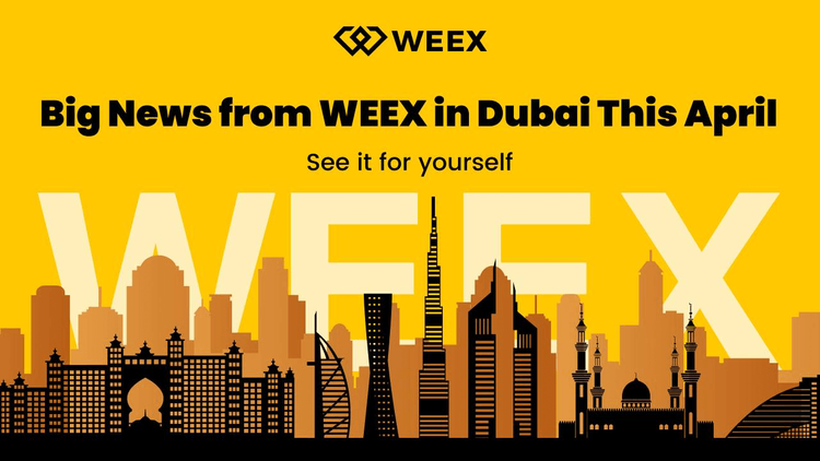 WEEX Drives Global Strategy with Dubai Studio and TOKEN2049 Spotlight