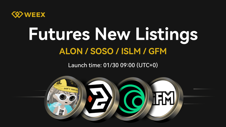 GoFundMeme (GFM) nay đã sẵn sàng – Giao dịch GFM USDT trên WEEX